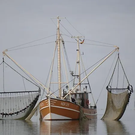 Strandstrasse Bontje Comfortable * ג'וסט